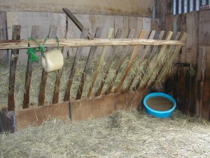 La Bergerie pour moutons d'Ouessant de Gilles Delorme